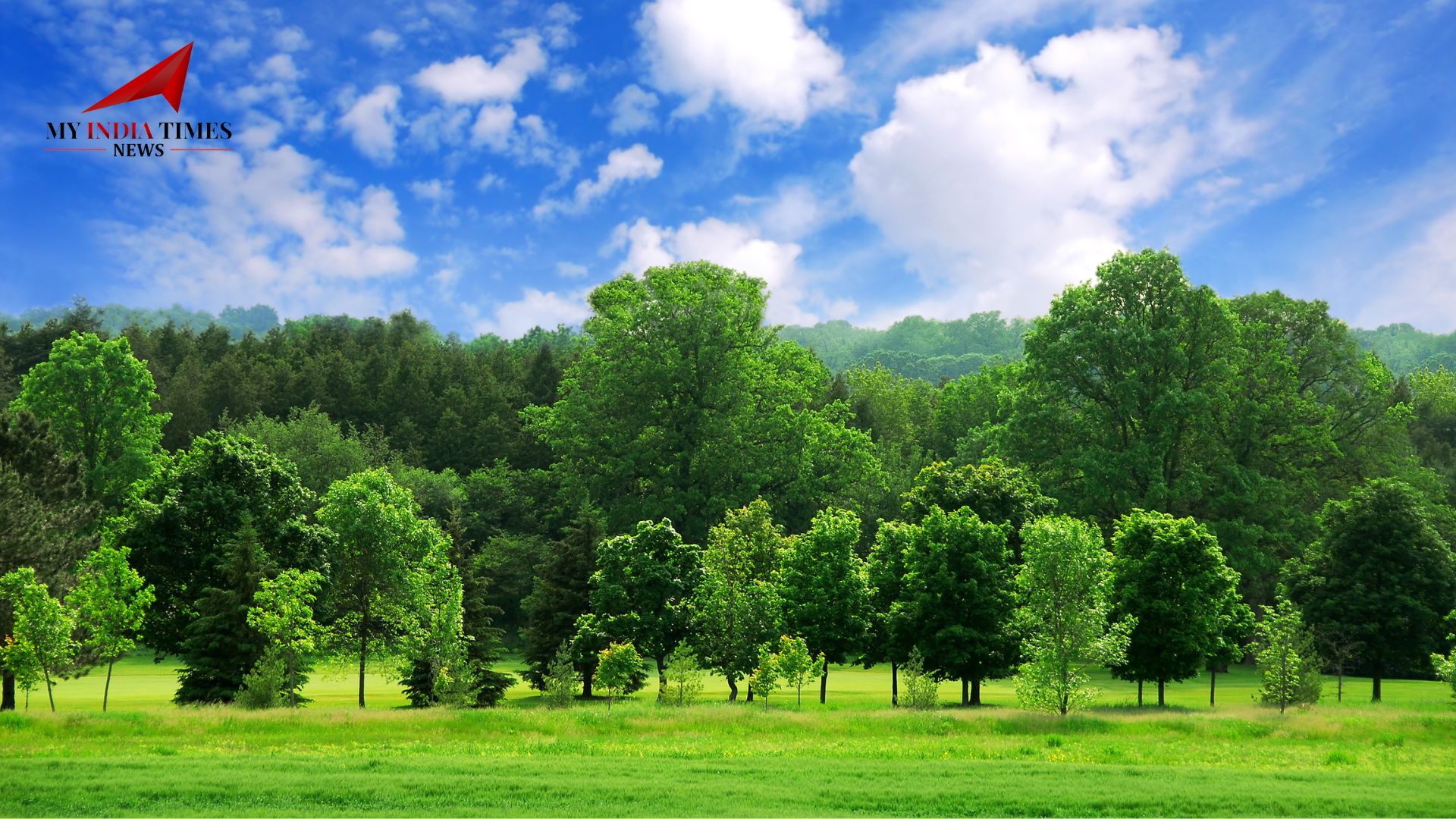 India’s Green Cover Grows by 1,445 Sq Km: A Major Step Towards Sustainability