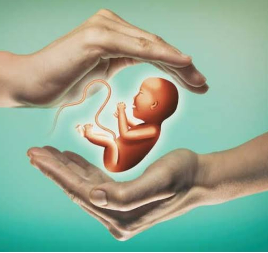 Chandigarh Becomes Global Hub for Surrogacy: Over 30 Couples Register for Services

