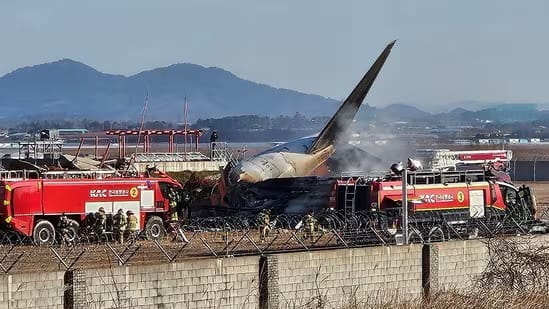 Devastation in South Korea: Muan Airport Plane Crash Claims 120 Lives
