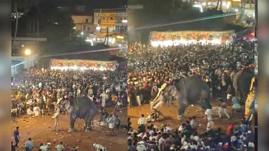 Elephant Goes Rampant at Kerala Festival, Injures 17 People in Malappuram
