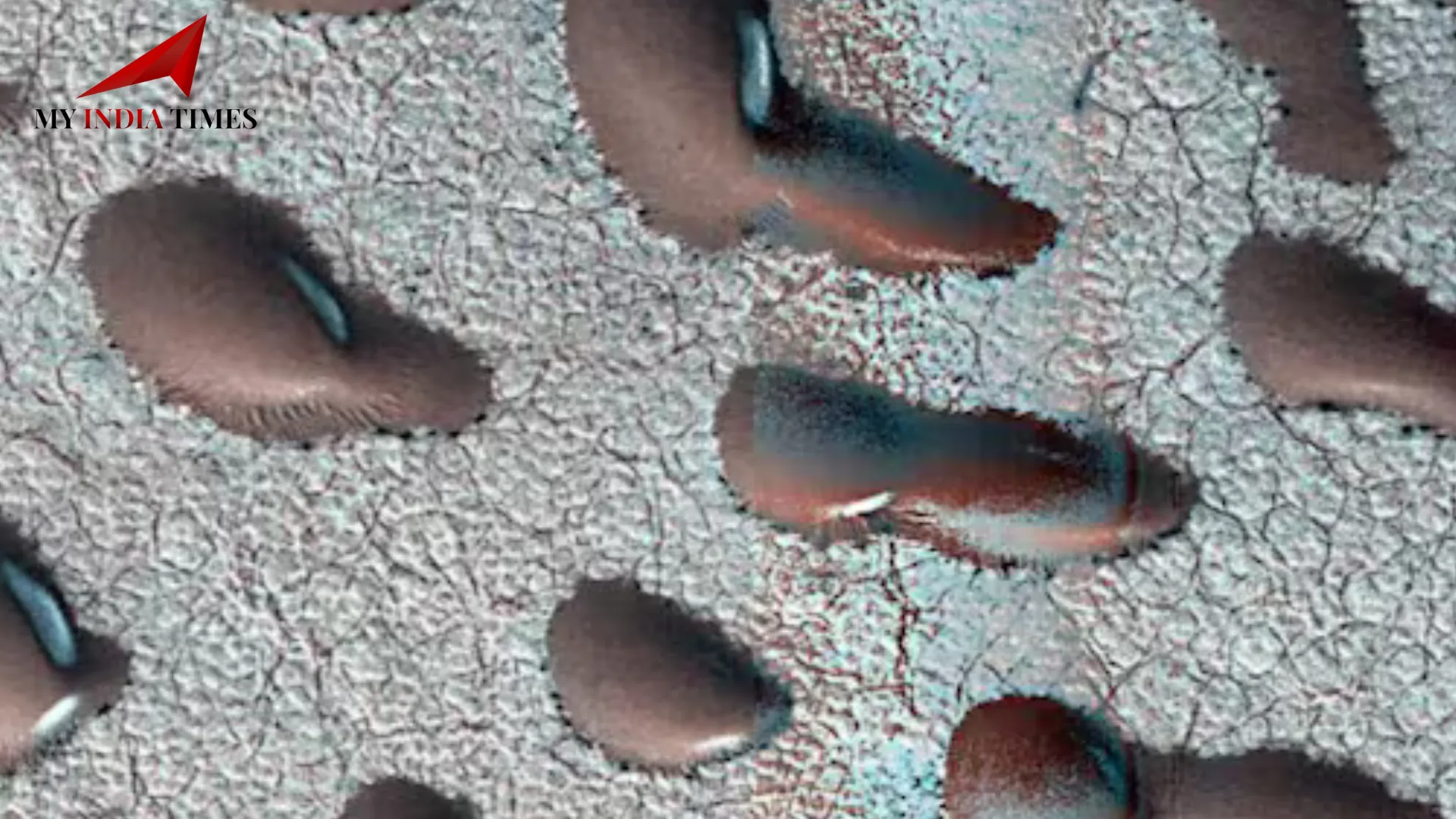 Kidney Bean-Shaped Sand Dunes Observed on Mars May Provide Insights into Potential Life