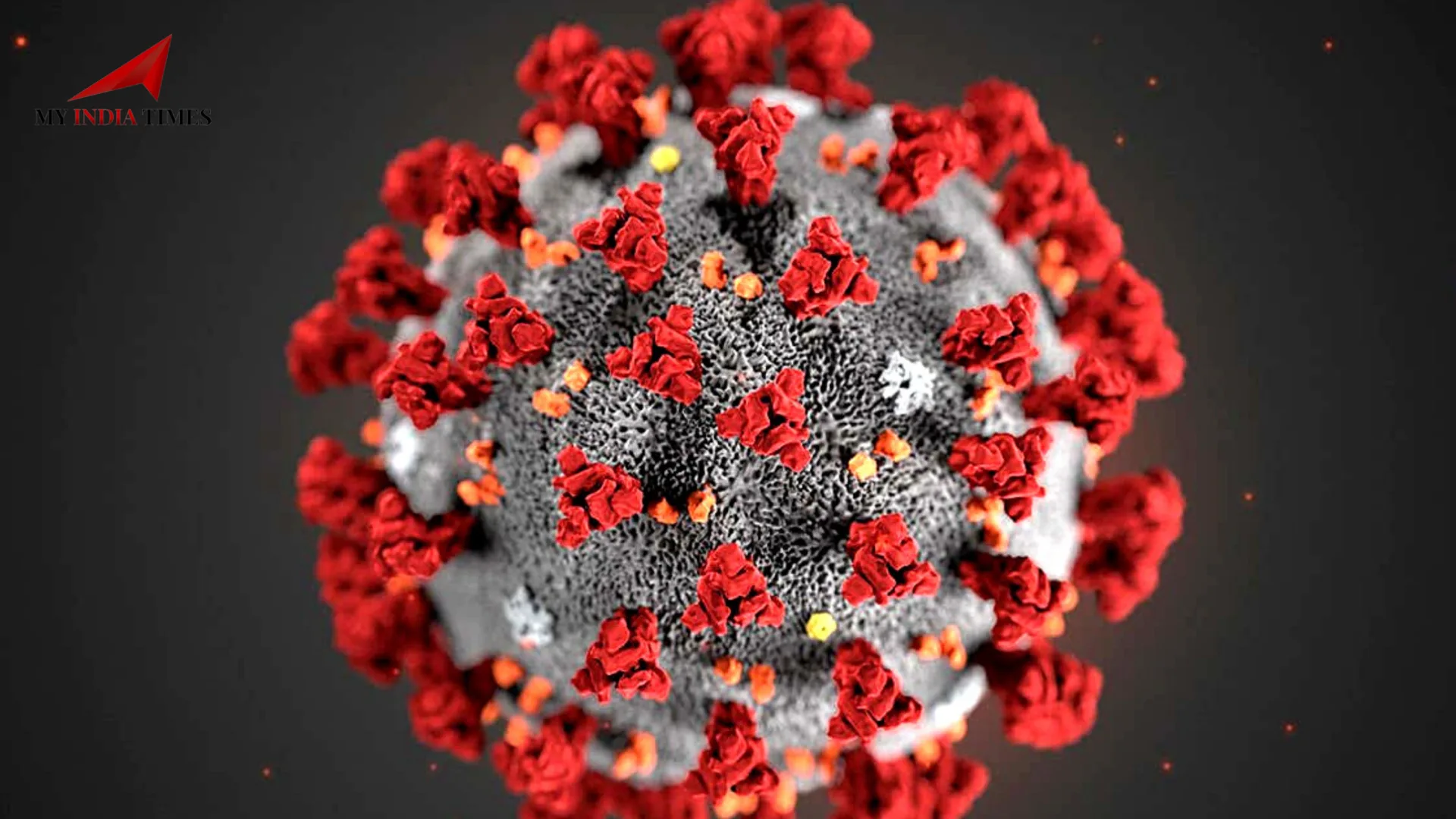 Evolving Insights into COVID-19 Natural Immunity Post-Omicron