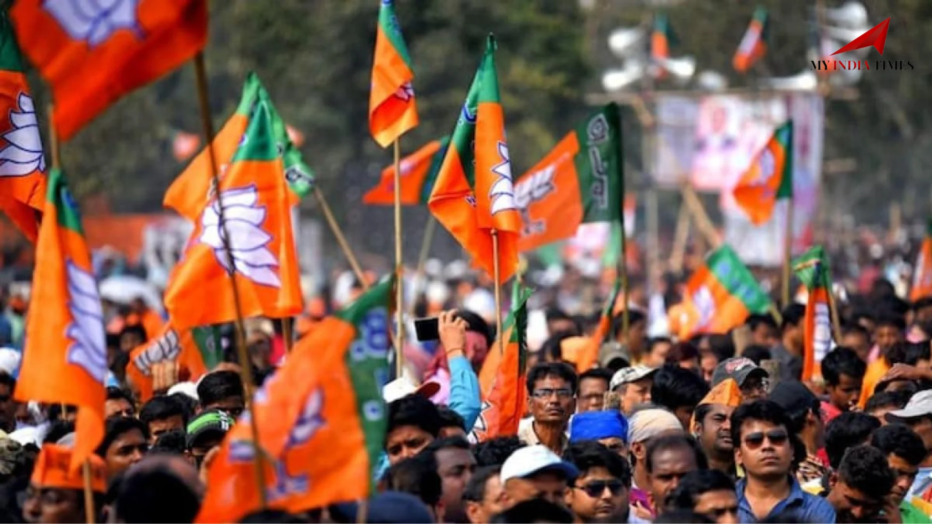 Gujarat Local Body Poll Results: BJP Wins Junagarh Municipal Corporation and Leaves Congress Behind