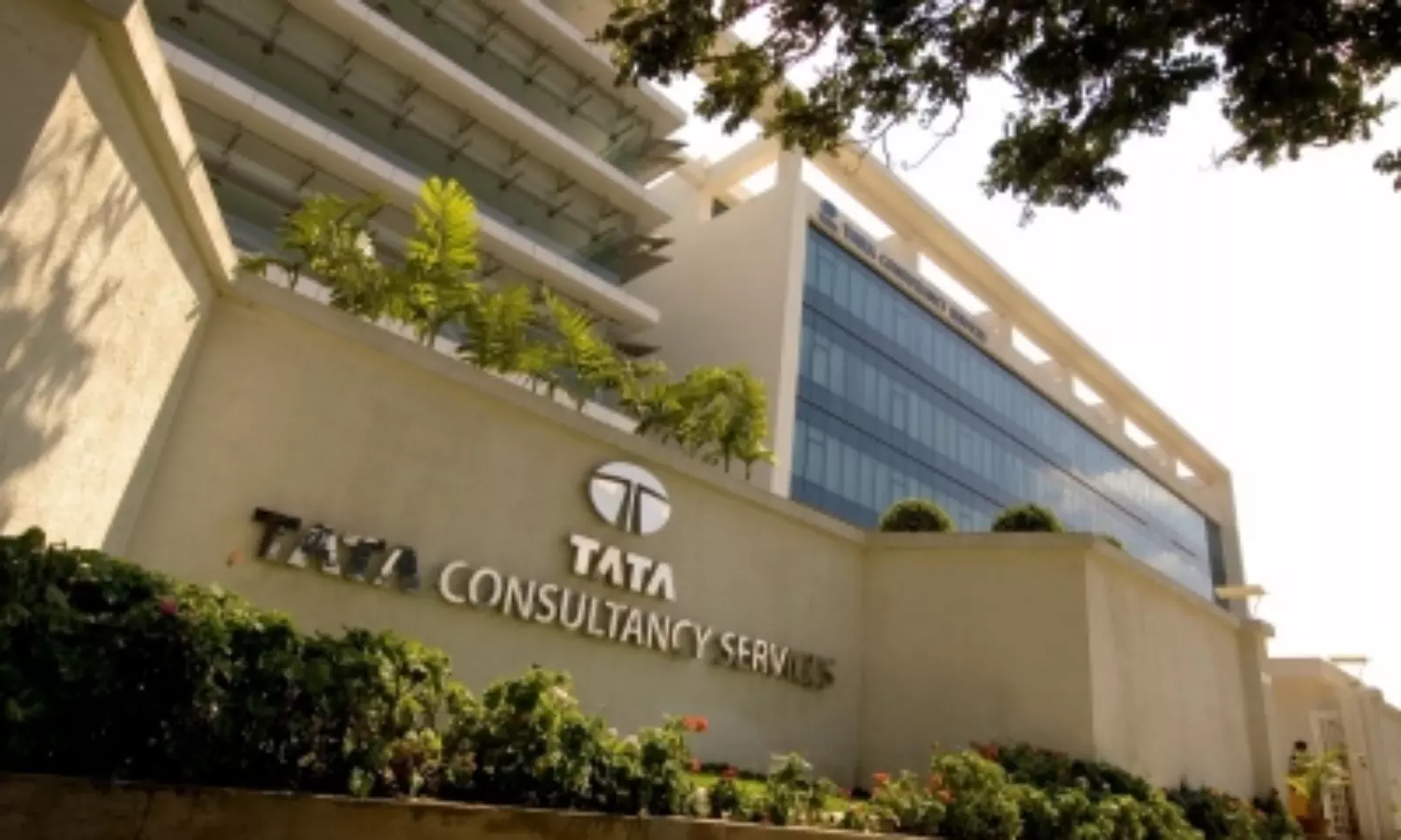 TCS Implements Stricter Work-From-Office Policy: Key Changes and Employee Reactions
