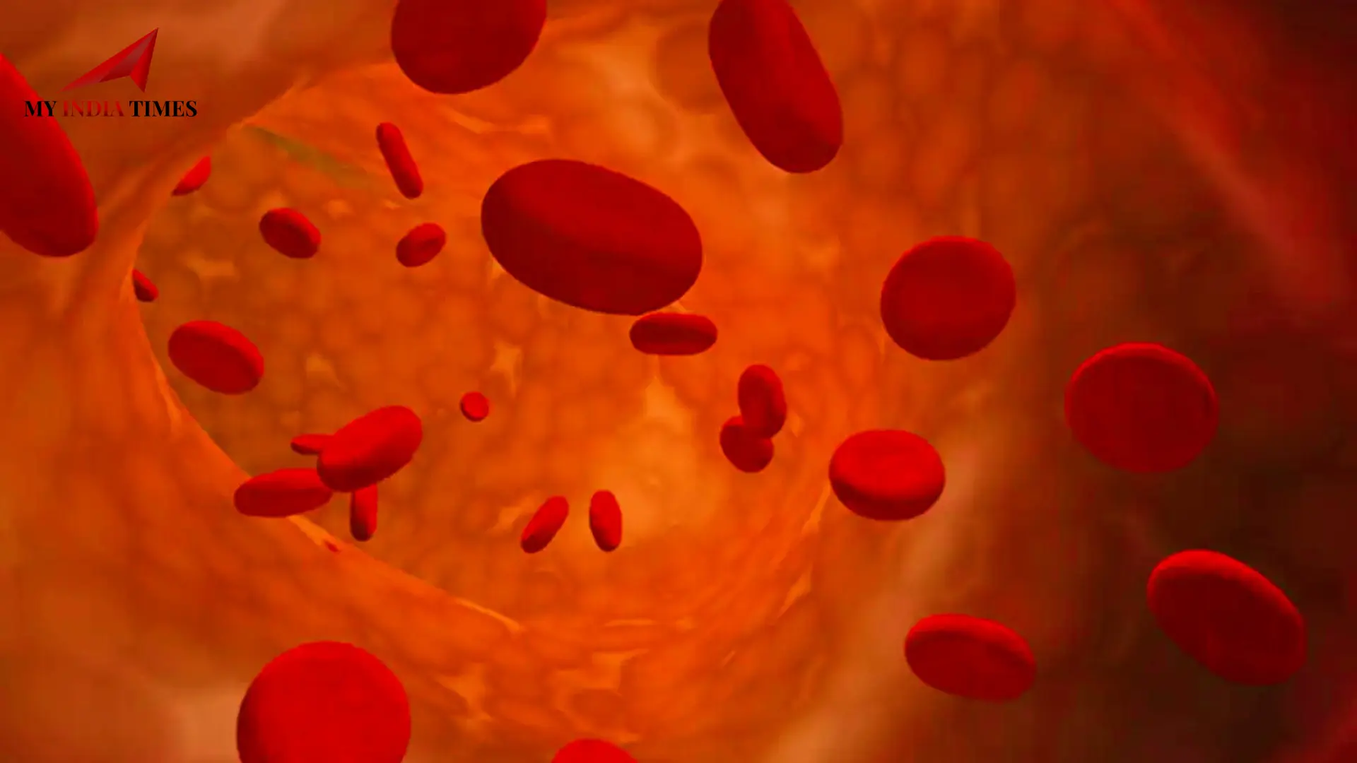 Chinese Scientists Discover New Bat Virus with Potential Human Transmission