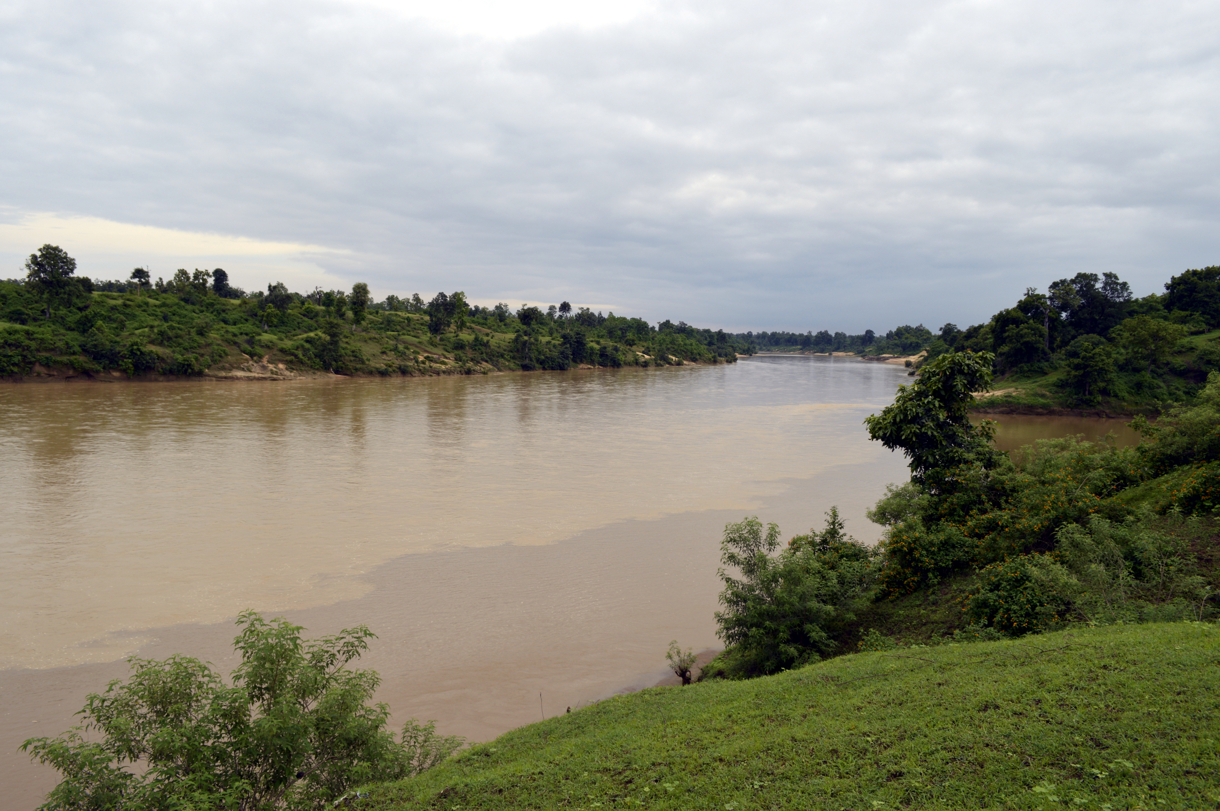 Farmer Missing After Drowning in Son River; Search Operation Continues for Over 20 Hours in Palamu