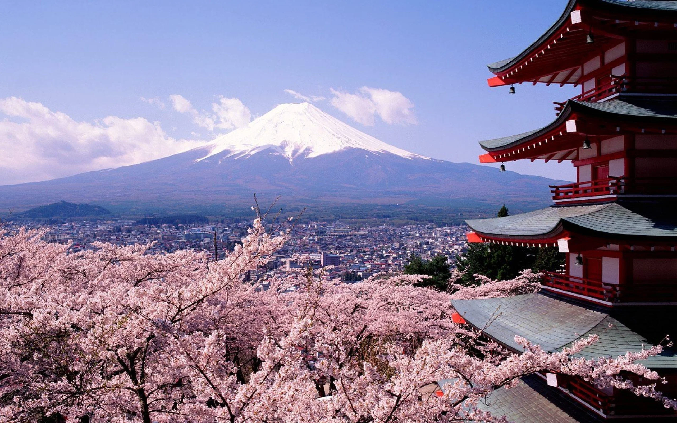 Planning A Trip To Japan? Your Visa Could Soon Cost Five Times More
