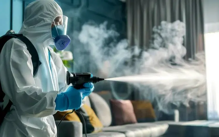 Insect Killer Services Strengthens Pest Management Solutions for Homes and Businesses Across Jaipur and Delhi-NCR